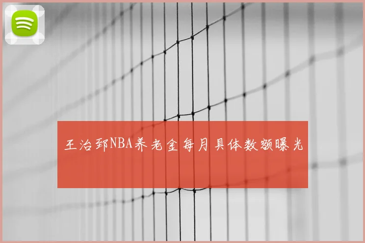 王治郅NBA养老金每月具体数额曝光