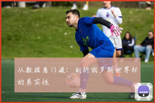 从数据看门道:剖析俄罗斯世界杯的真实性