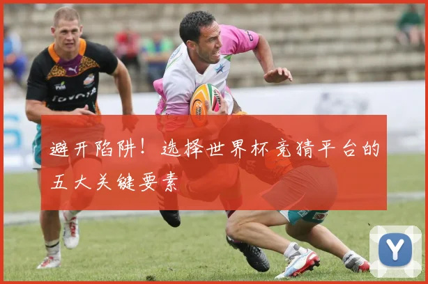 避开陷阱!选择世界杯竞猜平台的五大关键要素