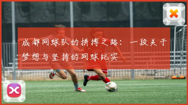 成都网球队的拼搏之路:一段关于梦想与坚持的网球纪实