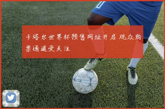 卡塔尔世界杯预售网址开启 观众购票通道受关注
