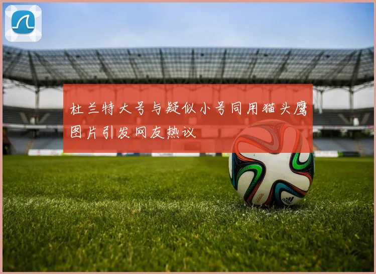 杜兰特大号与疑似小号同用猫头鹰图片引发网友热议