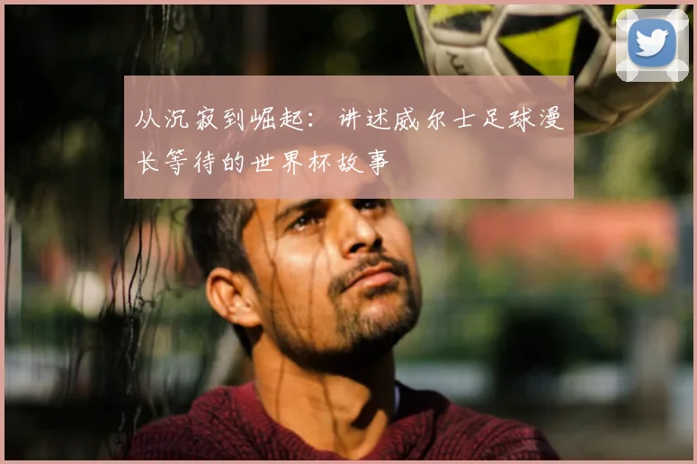 从沉寂到崛起：讲述威尔士足球漫长等待的世界杯故事