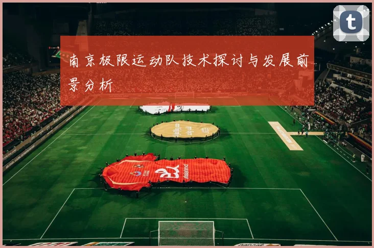 南京极限运动队技术探讨与发展前景分析