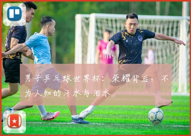 男子乒乓球世界杯：荣耀背后，不为人知的汗水与泪水