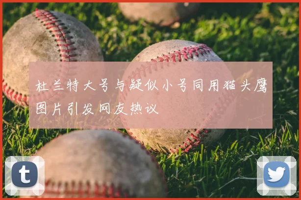 杜兰特大号与疑似小号同用猫头鹰图片引发网友热议