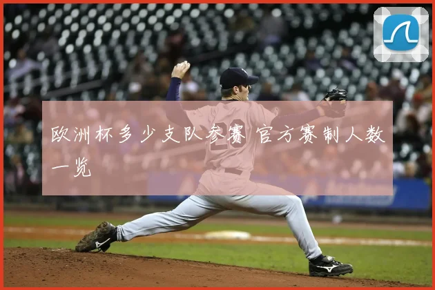 欧洲杯多少支队参赛 官方赛制人数一览