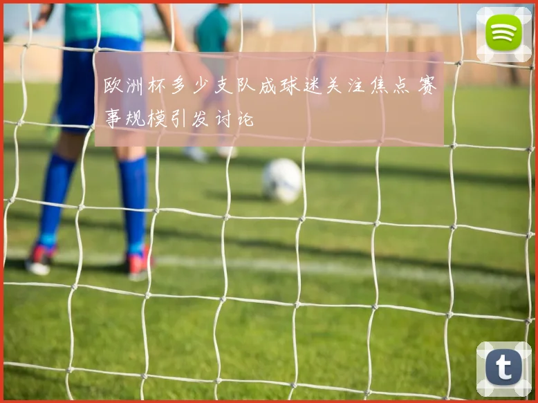 欧洲杯多少支队成球迷关注焦点 赛事规模引发讨论