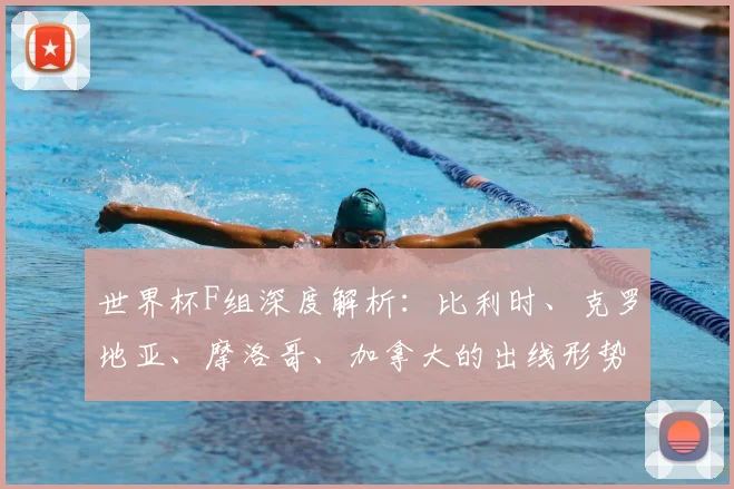 世界杯F组深度解析:比利时、克罗地亚、摩洛哥、加拿大的出线形势与战术博弈