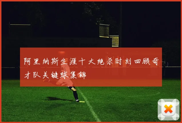 阿里纳斯生涯十大绝杀时刻回顾奇才队关键球集锦