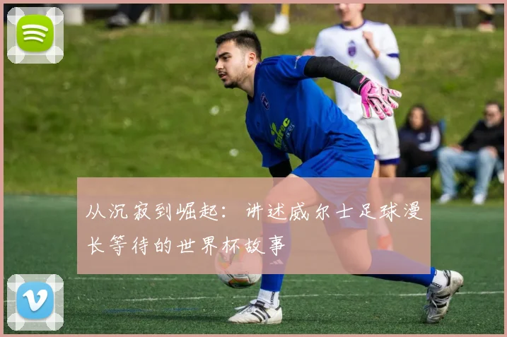 从沉寂到崛起:讲述威尔士足球漫长等待的世界杯故事