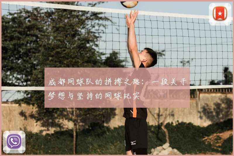 成都网球队的拼搏之路:一段关于梦想与坚持的网球纪实