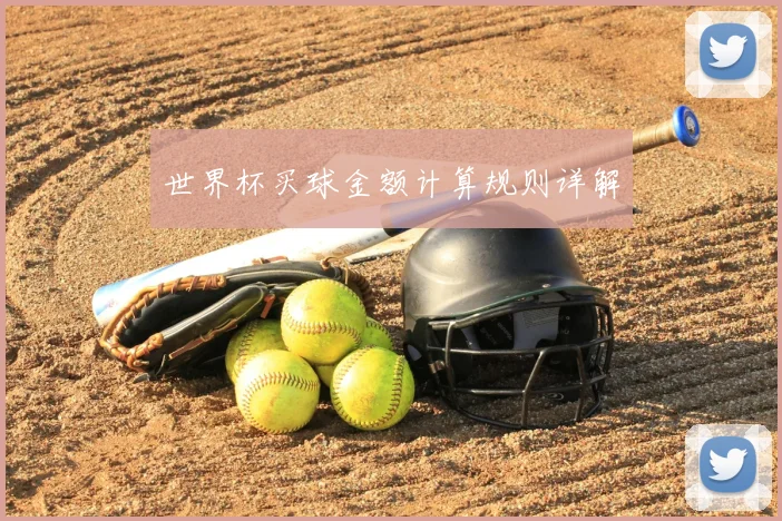 世界杯买球金额计算规则详解