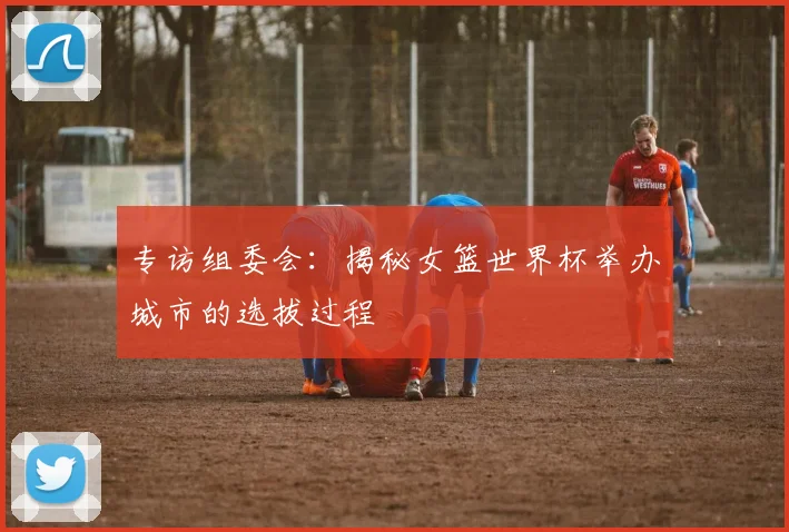 专访组委会：揭秘女篮世界杯举办城市的选拔过程
