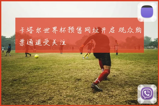 卡塔尔世界杯预售网址开启 观众购票通道受关注